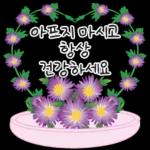 가정의 달 꽃 선물