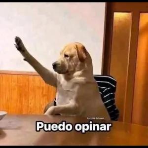 Puedo opinar - getsticker.com