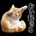 生成失敗猫【毒舌・煽り・煽る・シュール】