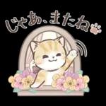 毎日使える♡大人可愛いガーリーキャット2