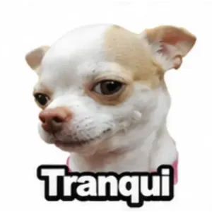 Tranqui - getsticker.com