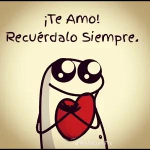 Ql9ffe