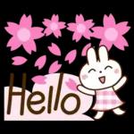 春を感じる♡うさぎさん