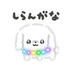 ぴかぴかわんわん