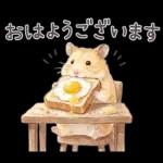 ゴールデンハムスター♡キンクマ