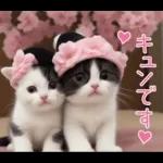 可愛いハチワレ猫 春の思いやり 敬語