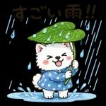 スタンプ・雨の日サモエド