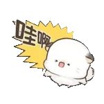 四毛與八毛 軟萌萌的小日常11