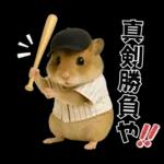 【新】リアル野球ハムスター