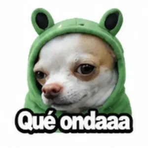 Qué ondaaaa - getsticker.com