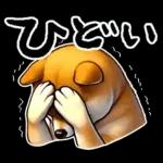 柴犬ワンダフル！！！！！