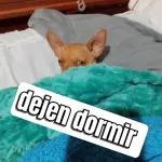 dejen dormir