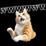 生成失敗猫【毒舌・煽り・煽る・シュール】