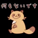 imananishiteru tanuki