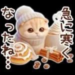 冬の猫のスコティッシュ【よく使う言葉】