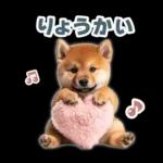 リアクションする柴犬【連絡用・日常会話】