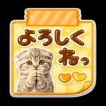 かわいい猫の写真 ぷくぷく