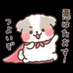 ふわふわシーズー 3歳児