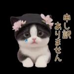 可愛いハチワレ猫 春の思いやり 敬語