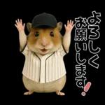 【新】リアル野球ハムスター