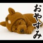 ウマの着ぐるみトイプードル【午年/2026】