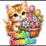 Diosito Me Cuida