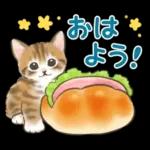 ふんわり可愛い☆猫たちのスタンプ