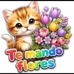 Diosito Me Cuida