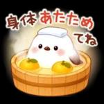 シマエナガたちの冬♪