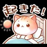 毎日♡猫ちゃんず【連絡・今何してる？】
