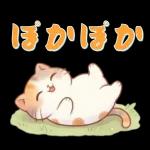 ぽかぽか春ねこライフ