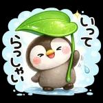 ぺんちゃんと梅雨じかん