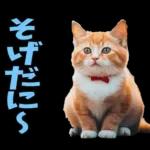 島根出雲弁☆にゃんこ