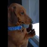 RANG STICKERS Ya responde el maldito mensaje