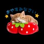 毎日使えるねこあいさつ