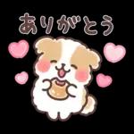 ふわふわシーズー 3歳児