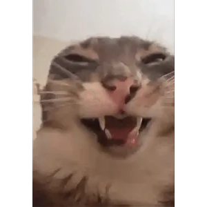 UWdqdF