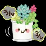 大人女子の日常【春】