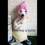 Me voy a bañar