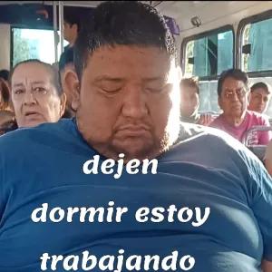 dejen dormir estoy trabajando - getsticker.com
