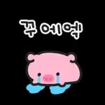 때지 뚱뚜이