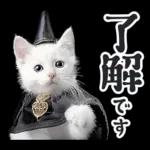 リアルな子猫ミーム（秋ハロウィン）