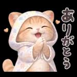 ちびニャンず♡毎日連絡スタンプ