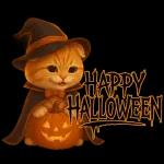 ハロウィンにゃん！