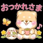 あはははははっ