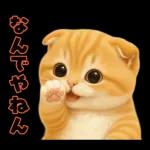 ハロウィンにゃん！