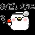 ちびトリ★冬の日常