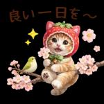 毎日使えるねこあいさつ