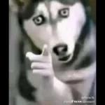 @ftunx76 From TikTok comment