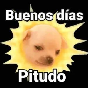 Buenos días Pitudo - getsticker.com